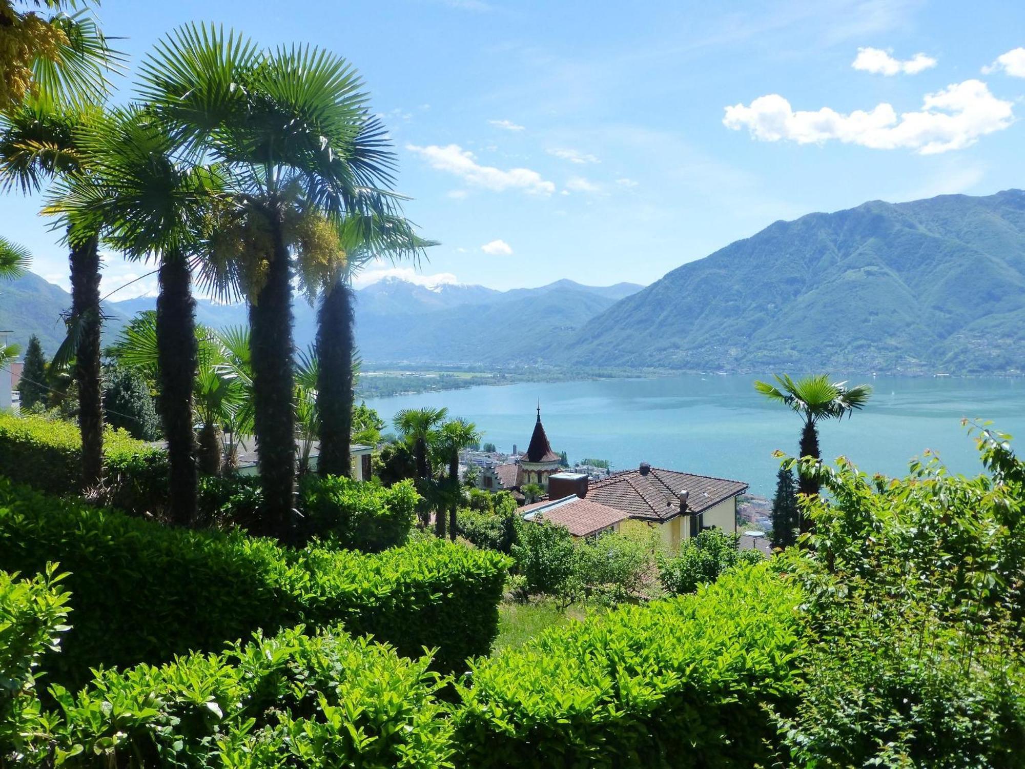 Collina D'Oro C14 By Fewotessin Orselina エクステリア 写真