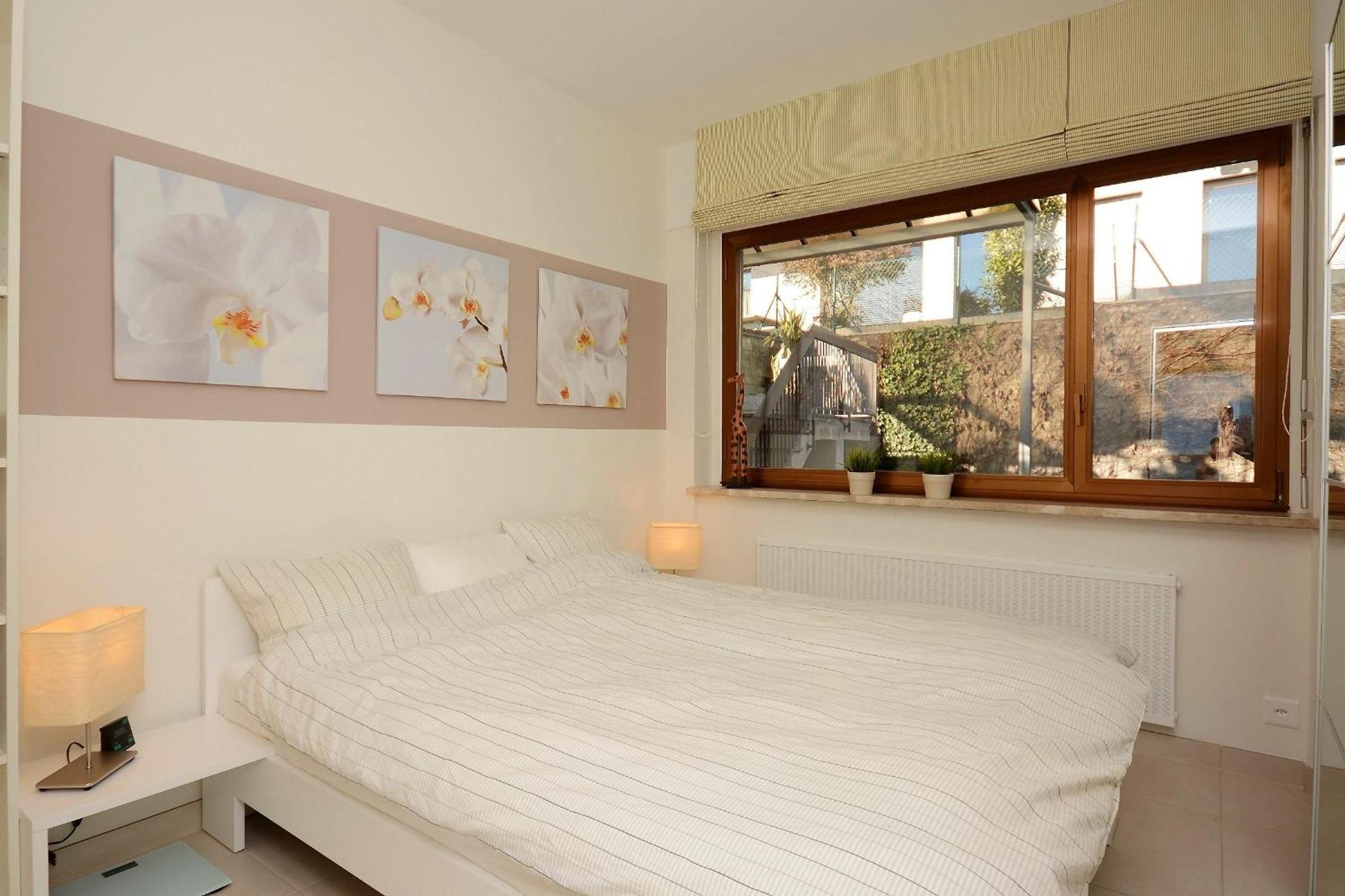 Collina D'Oro C14 By Fewotessin Orselina エクステリア 写真