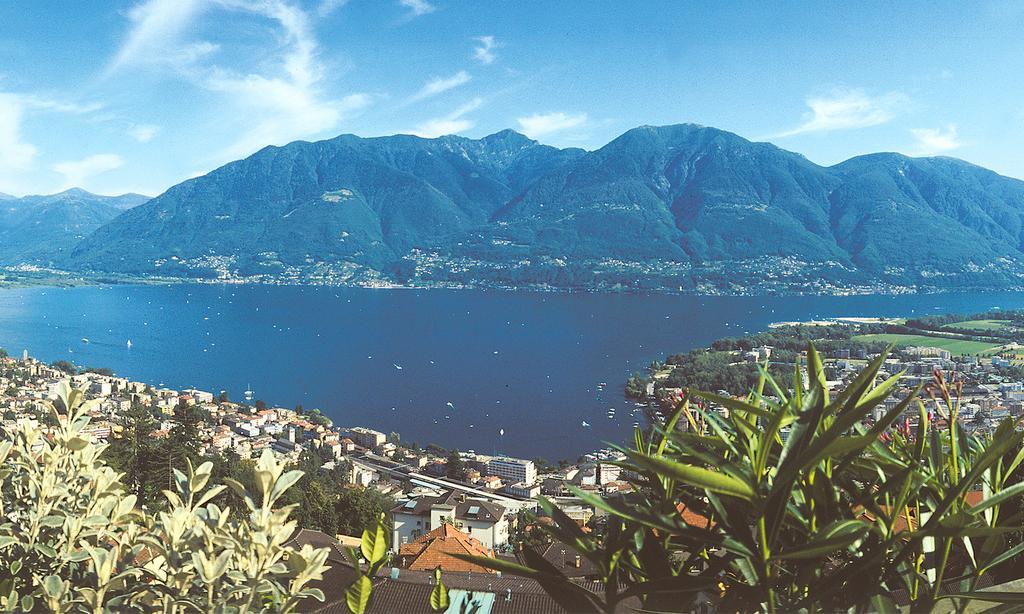 Collina D'Oro C14 By Fewotessin Orselina 部屋 写真